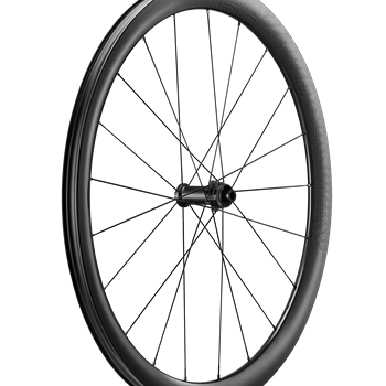 ZEN 42